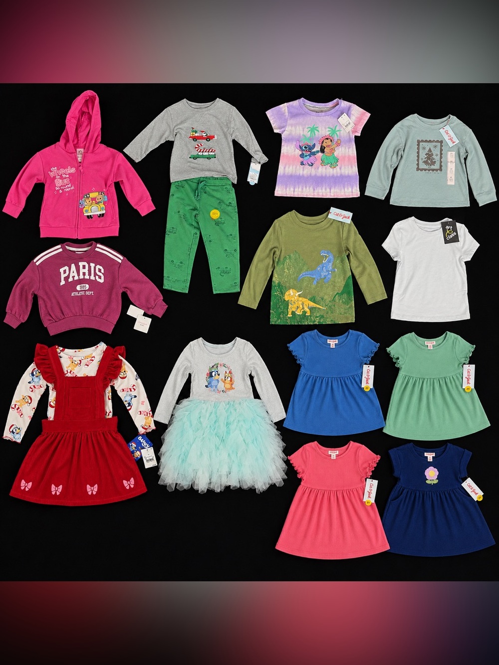 Girls 2T Target Clothing Lot 15 Pcs Cat & Jack Bluey Disney NWT NWOT $150+ MSRP